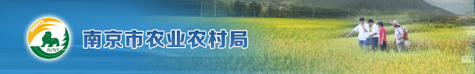 开云网页版
